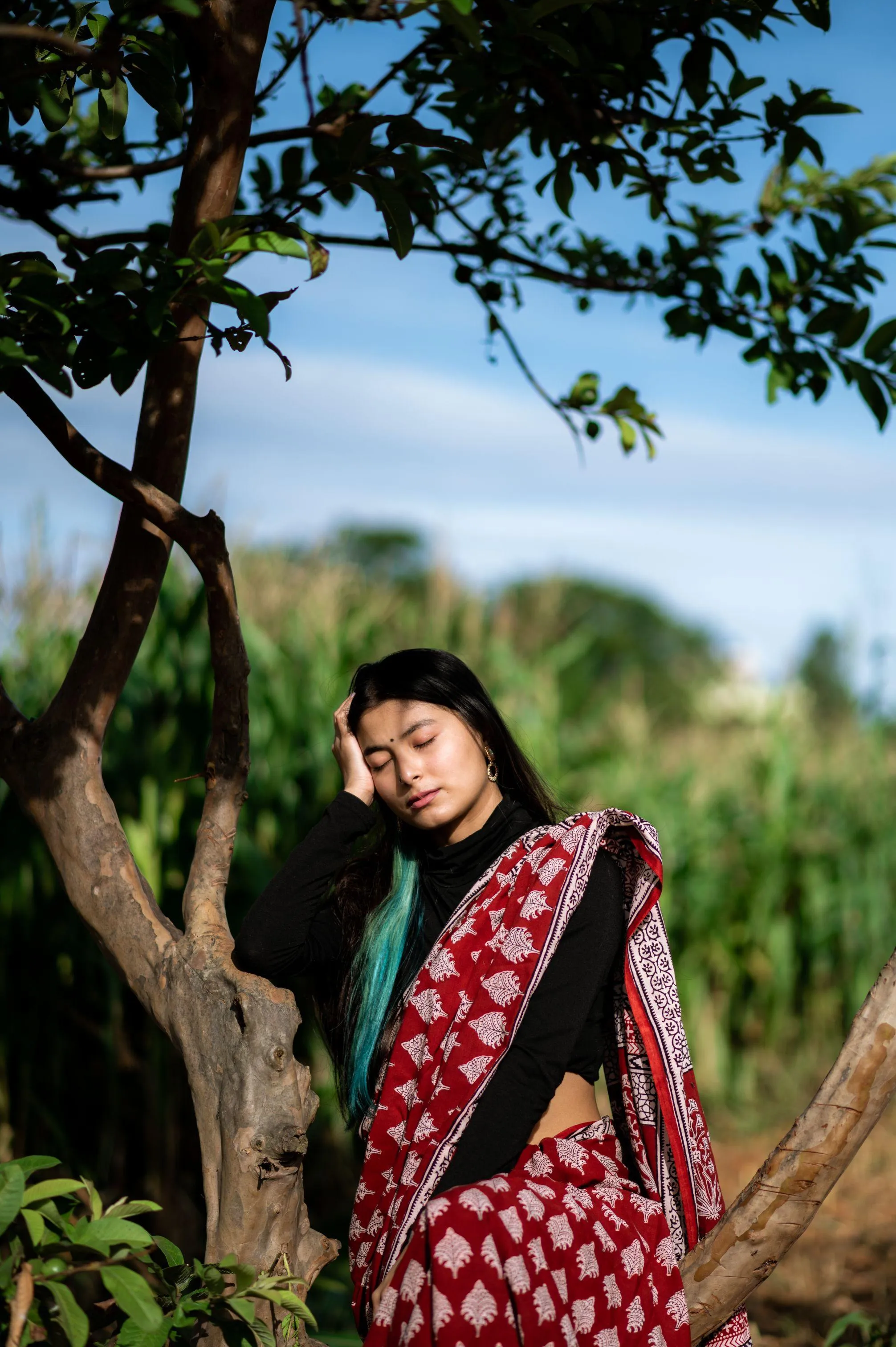 Kaisori Nandana Bagh handblockprinted cotton saree