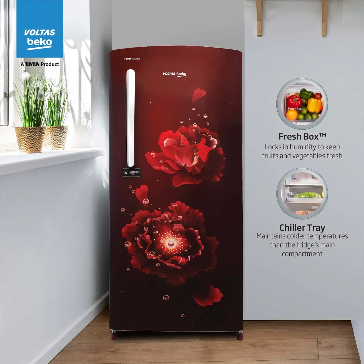 Voltas Beko 185 L, 3 Star, Single Door DC Refrigerator (Fairy Flower Wine)